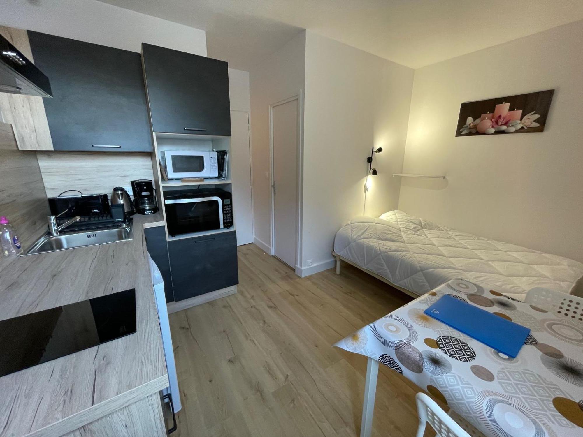 Meuble De Tourisme Dans Parc Arbore 1000M2 - Sejour-La-Roche Eperon La Roche-Posay Bilik gambar